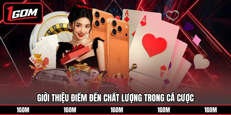 Giới thiệu điểm đến chất lượng trong cá cược