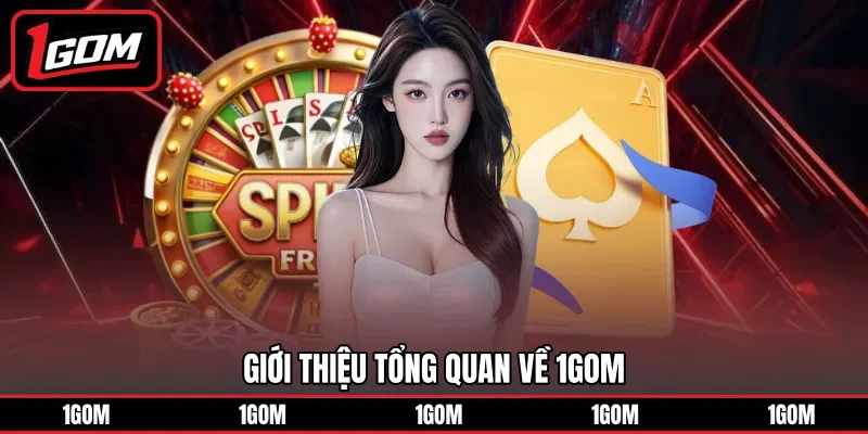 Tìm hiểu tổng quan về 1Gom