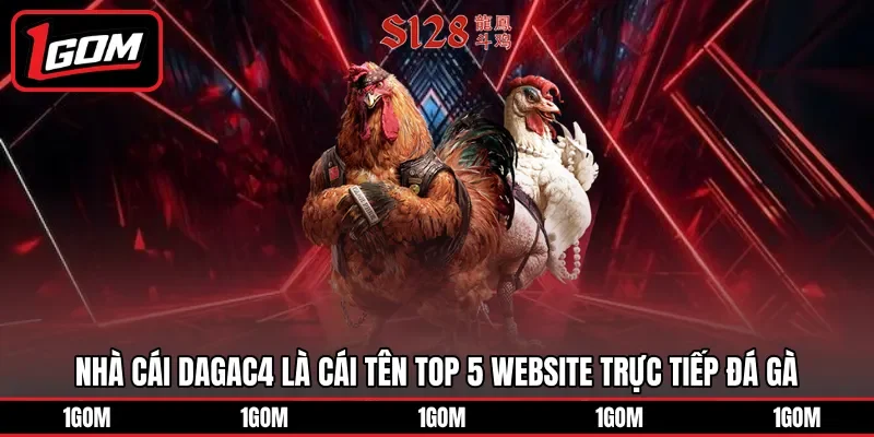 Nhà cái DAGAC4 là cái tên top 5 website trực tiếp đá gà