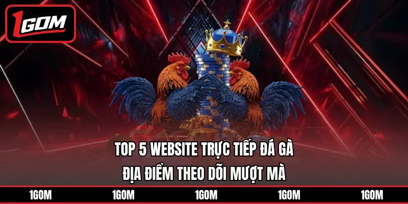 Top 5 website trực tiếp đá gà